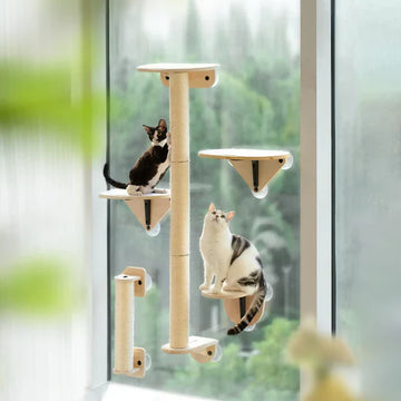 mewoofun-cat-shelves