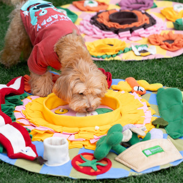 Dog using MewooFun snuffle mat to find treats