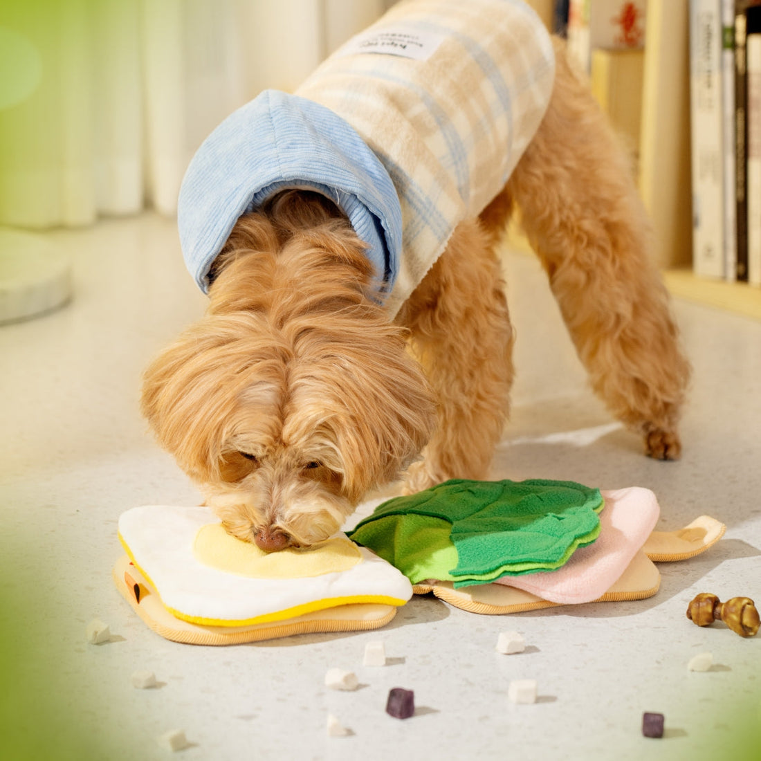 Sandwich Snuffle Toy