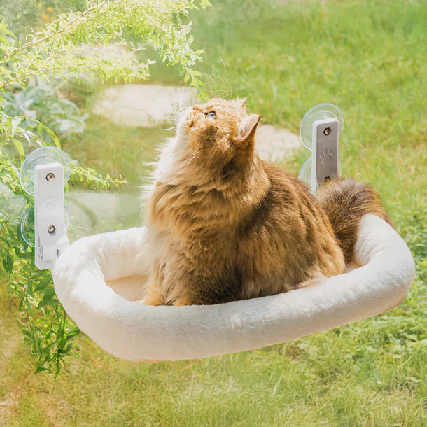 Mewoofun Zion Foldable Cat Window Perch Pro