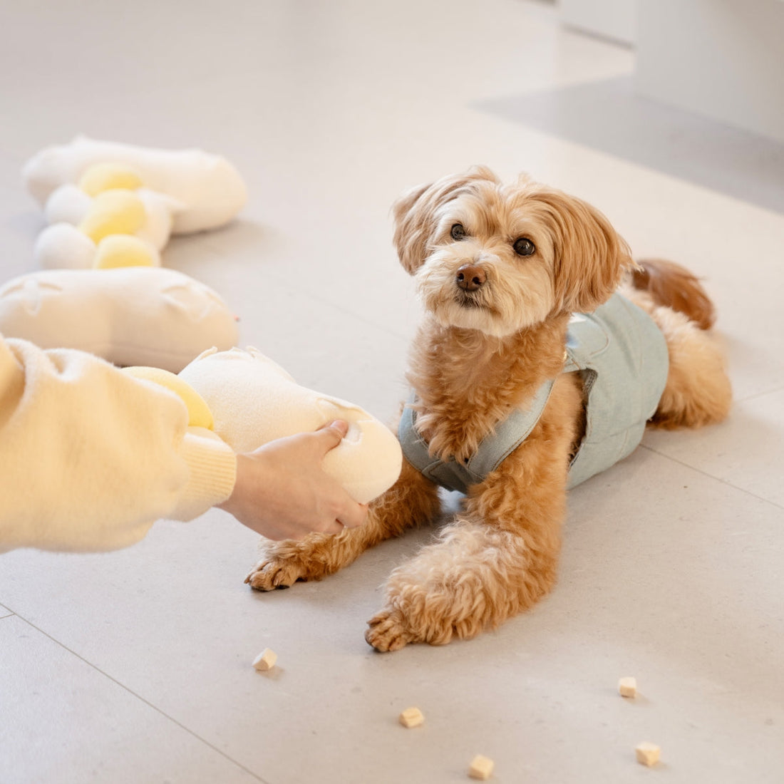 Twist Bone Snuffle Toy