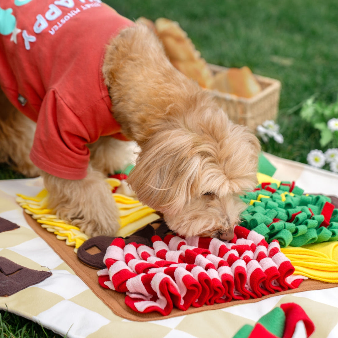 Snack Picnic Snuffle Mat
