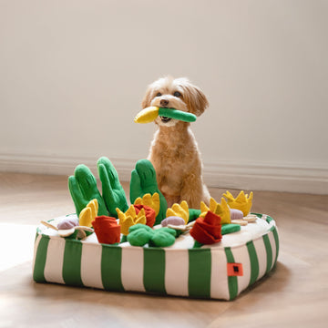 Garden Snuffle Toy
