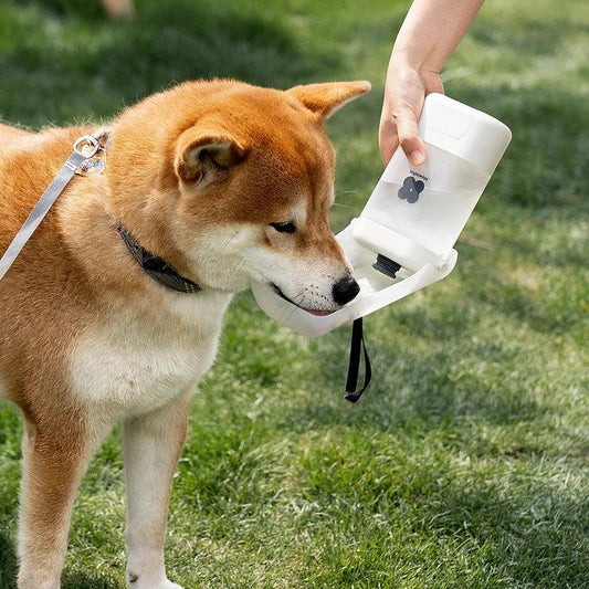 Hydration on-the-Go, Aussie Style: Unleash Your Pup's Inner Explorer with the Mewoofun Dog Water Bottle - Mewoofun Australia