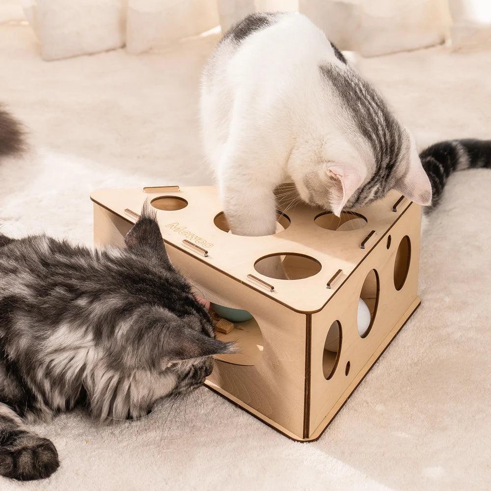 Mewoofun Funny Cat Triangle Teasing Box - Interactive Play and Exercise Toy for Cats - Mewoofun Australia