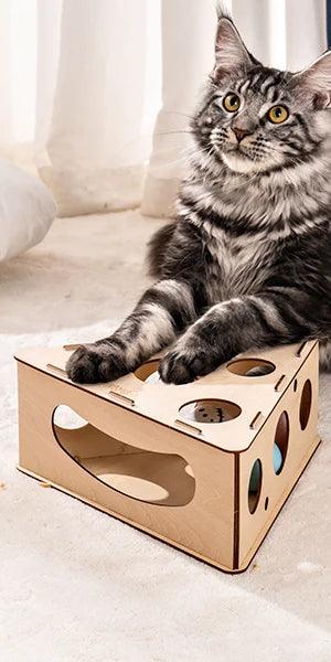 Mewoofun Funny Cat Triangle Teasing Box - Interactive Play and Exercise Toy for Cats - Mewoofun Australia