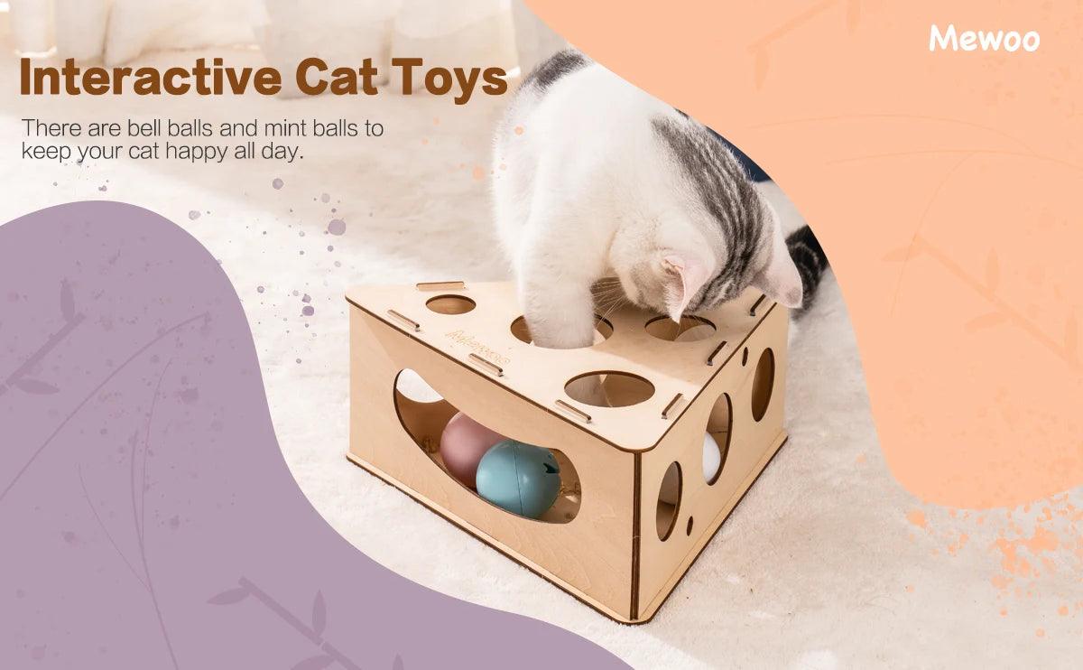 Mewoofun Funny Cat Triangle Teasing Box - Interactive Play and Exercise Toy for Cats - Mewoofun Australia