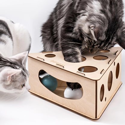 Mewoofun Funny Cat Triangle Teasing Box - Interactive Play and Exercise Toy for Cats - Mewoofun Australia