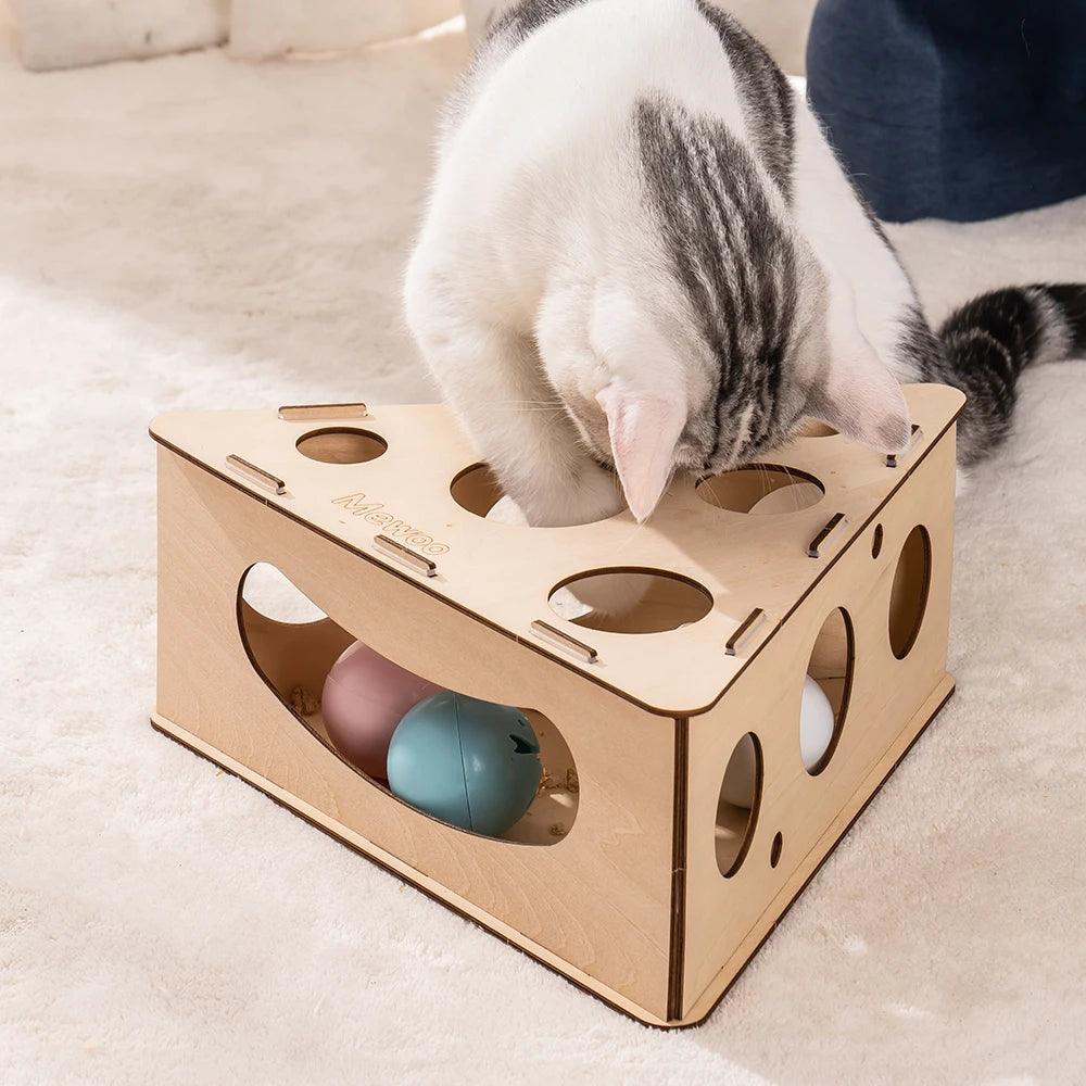 Mewoofun Funny Cat Triangle Teasing Box - Interactive Play and Exercise Toy for Cats - Mewoofun Australia