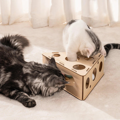 Mewoofun Funny Cat Triangle Teasing Box - Interactive Play and Exercise Toy for Cats - Mewoofun Australia