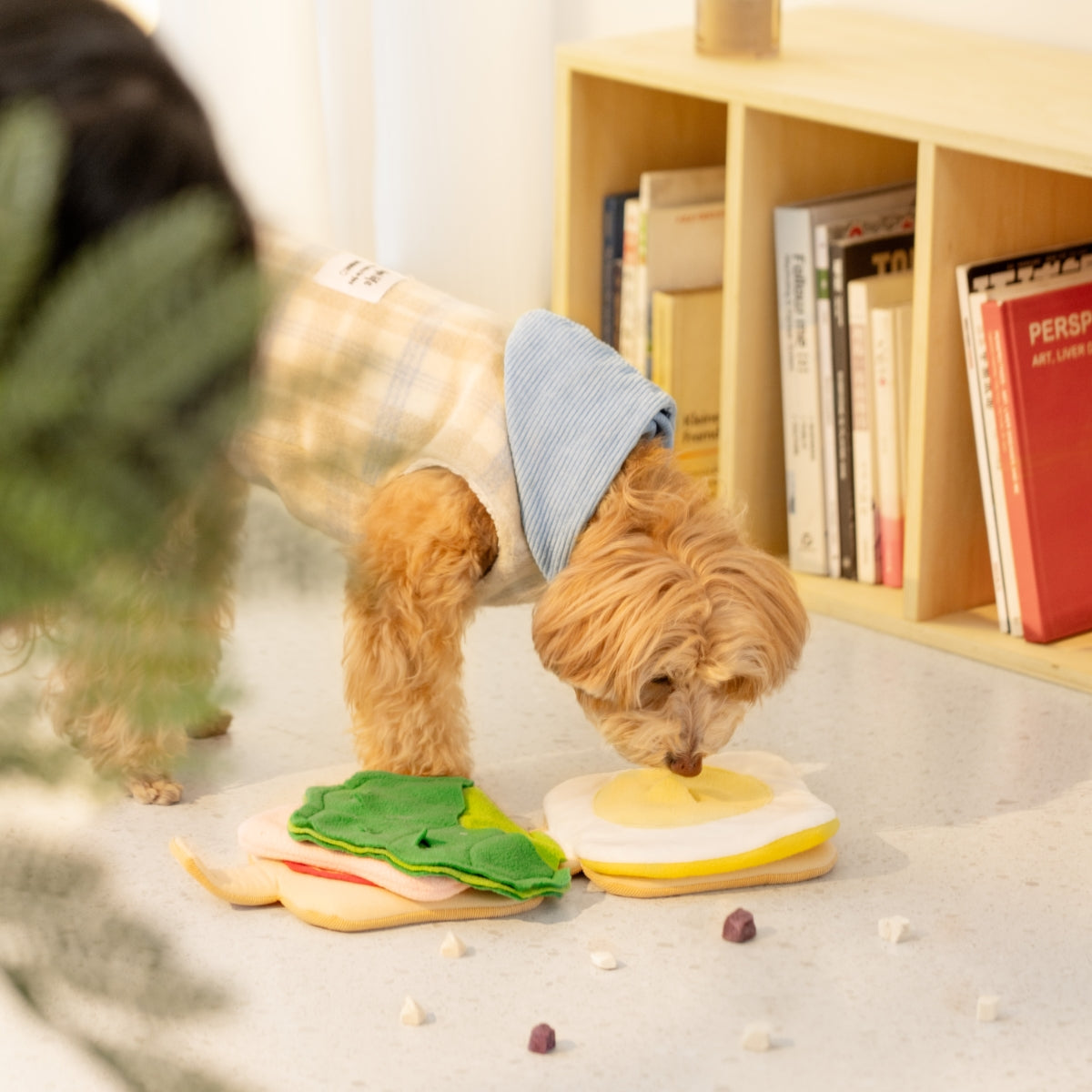 Sandwich Snuffle Toy