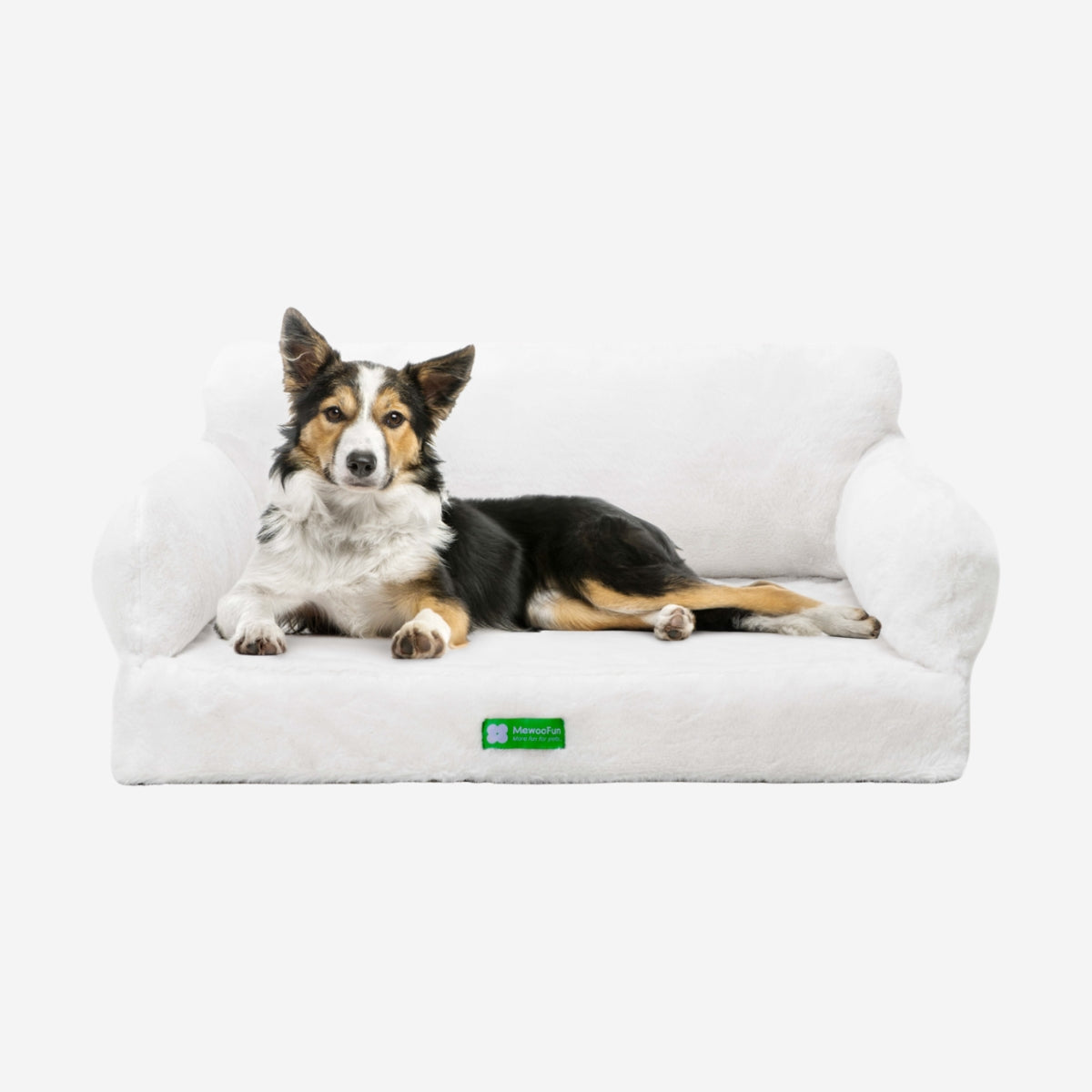 Zion Orthopedic Cat & Dog Sofa