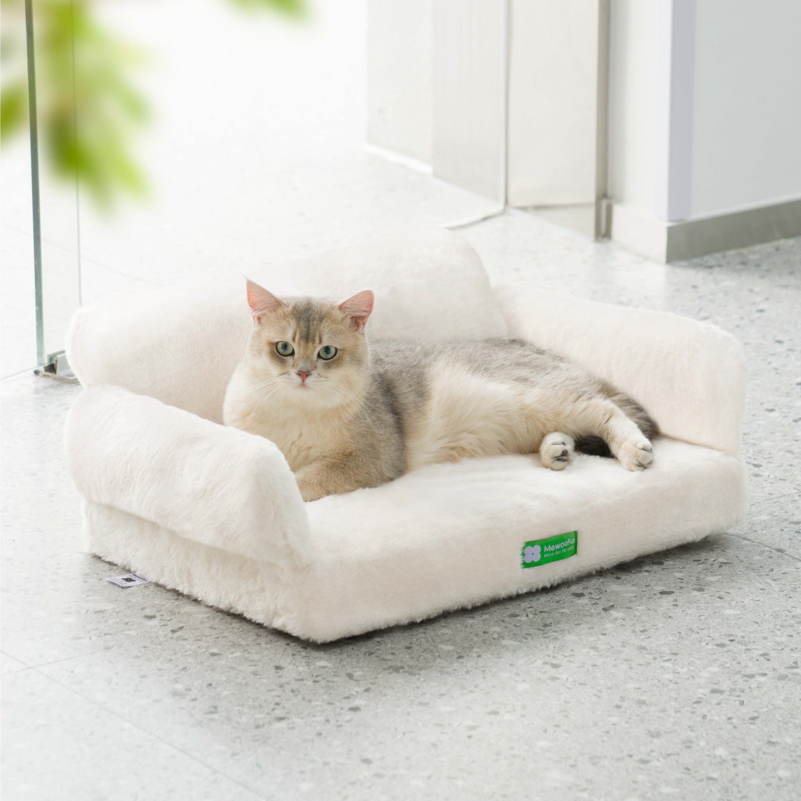 Zion Orthopedic Cat & Dog Sofa