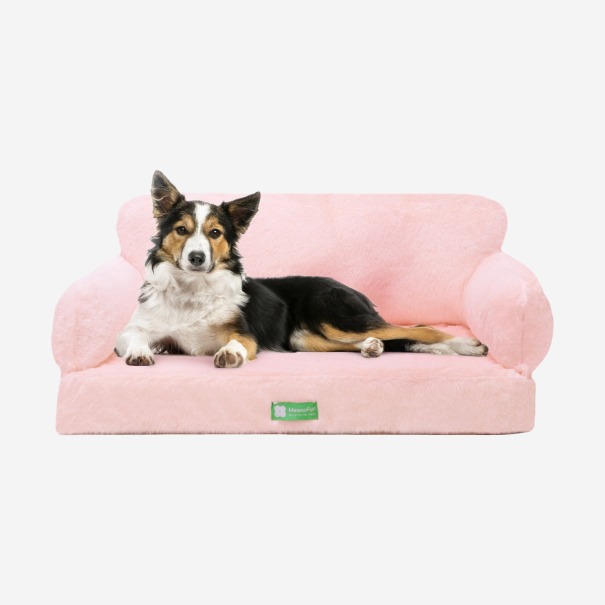 Zion Orthopedic Cat & Dog Sofa