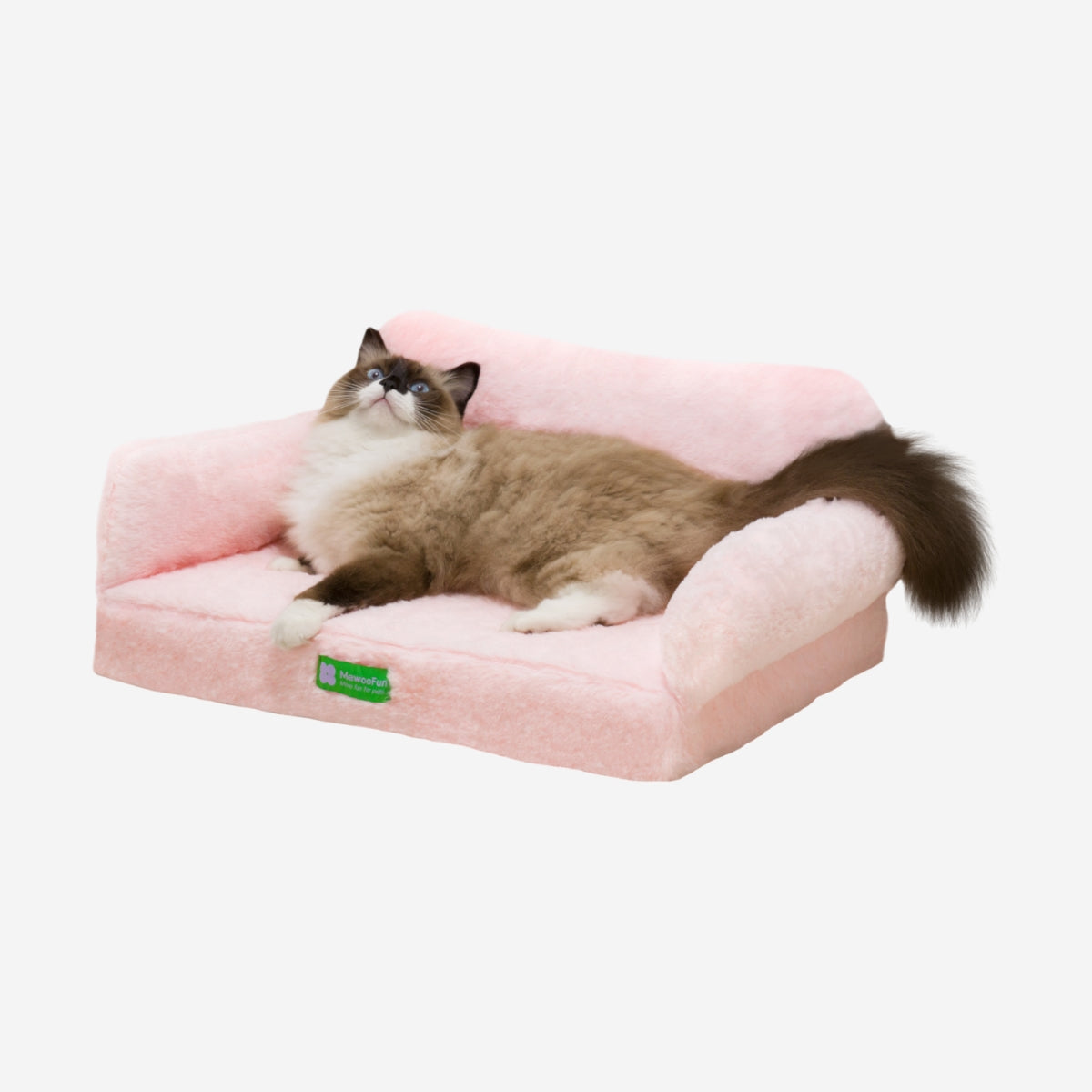 Zion Orthopedic Cat & Dog Sofa
