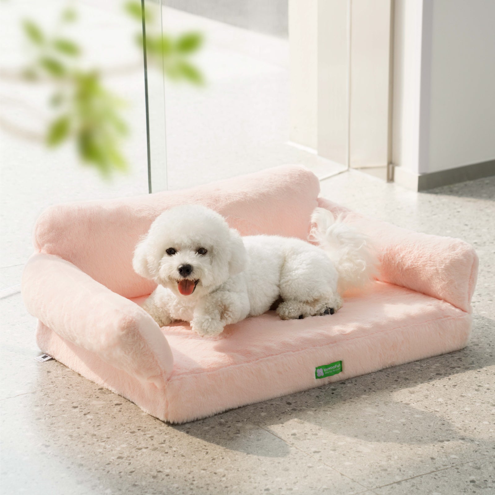 Zion Orthopedic Cat & Dog Sofa