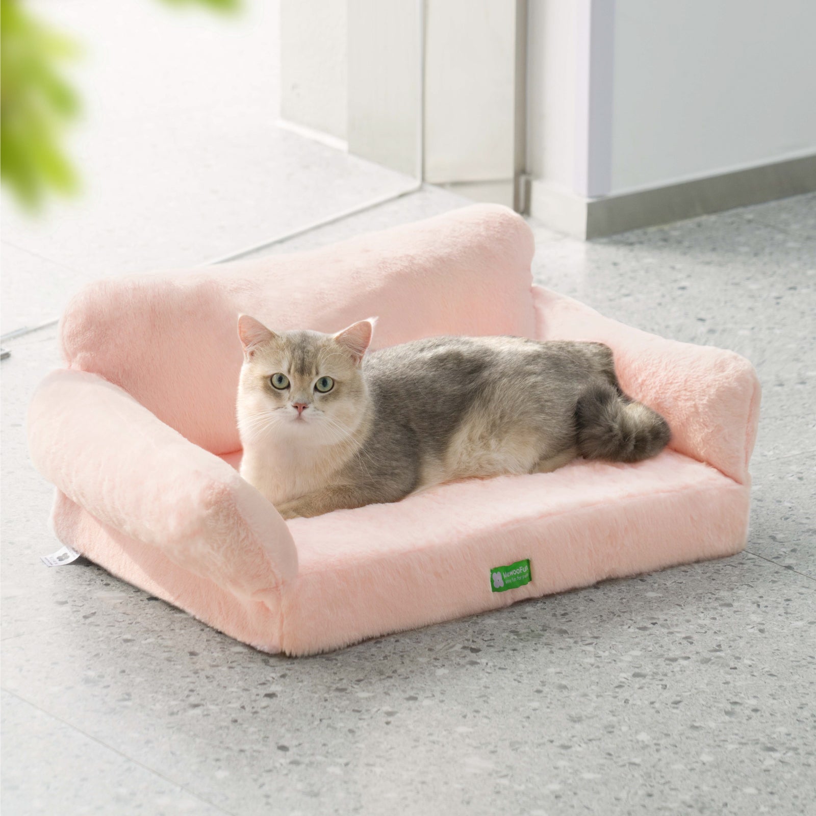 Zion Orthopedic Cat & Dog Sofa