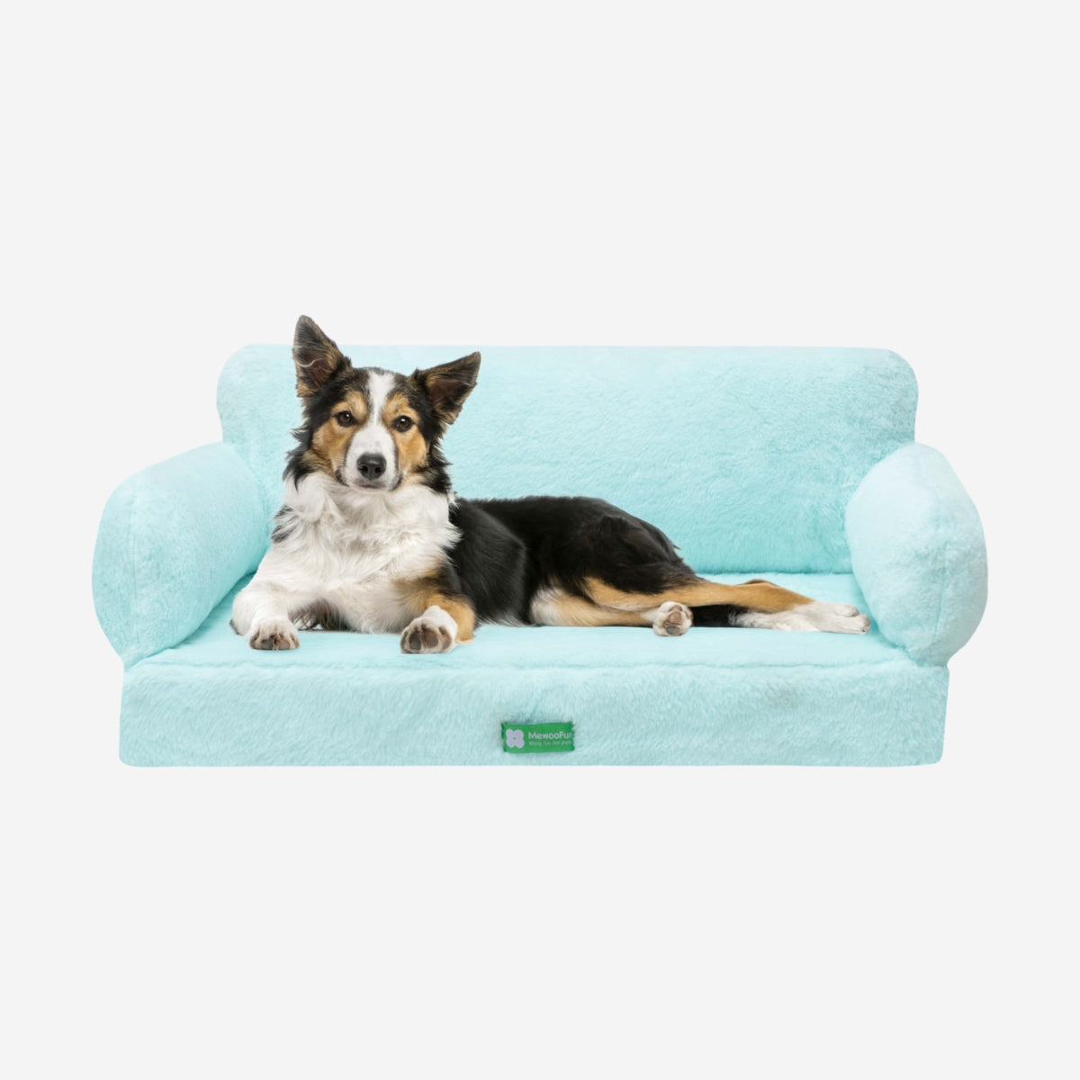 Zion Orthopedic Cat & Dog Sofa