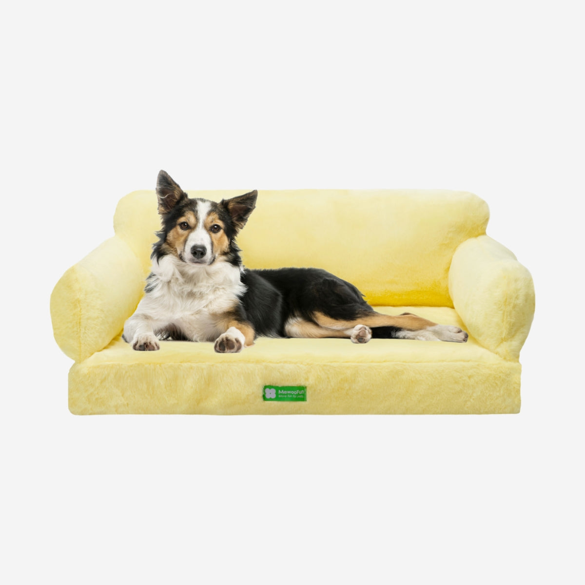 Zion Orthopedic Cat & Dog Sofa