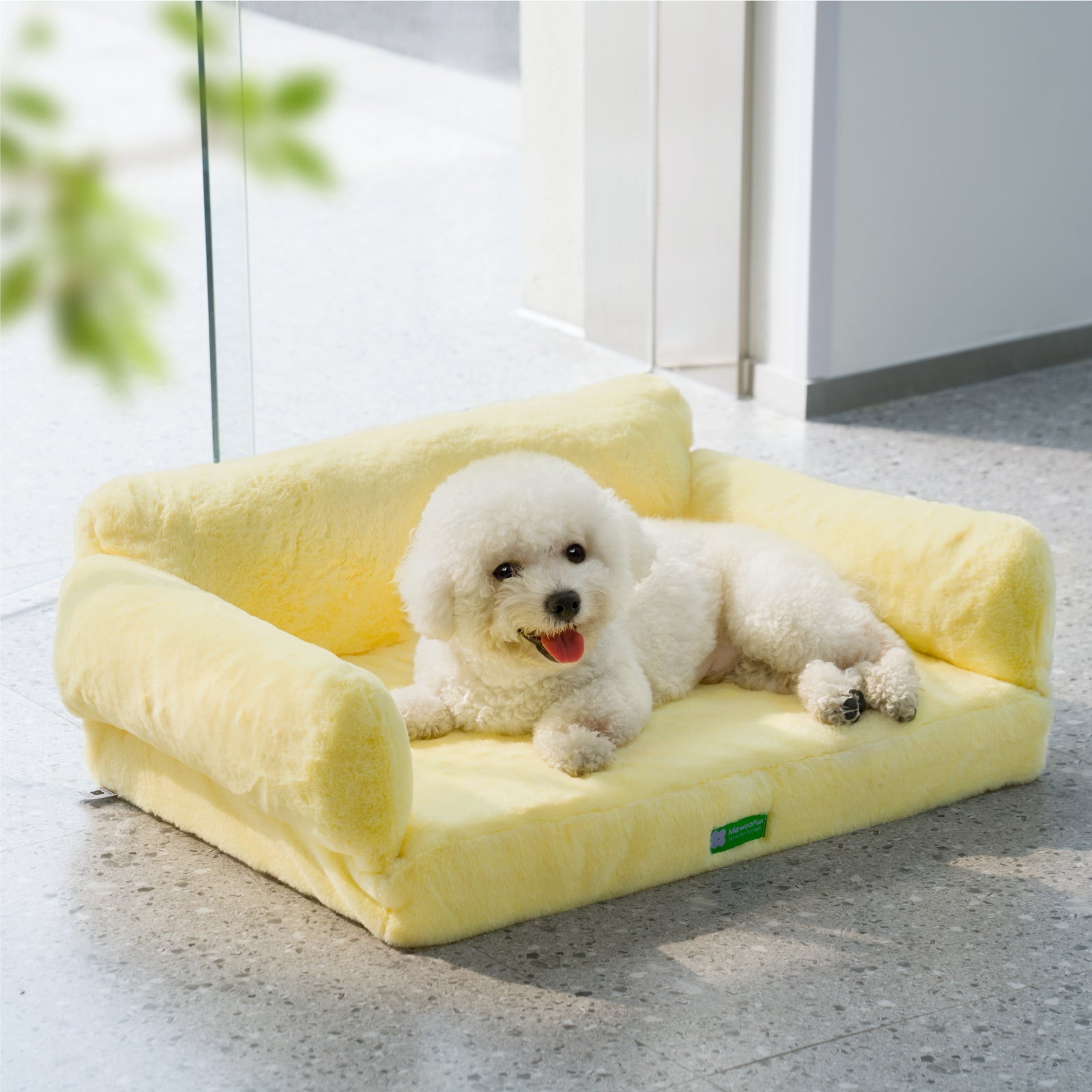 Zion Orthopedic Cat & Dog Sofa