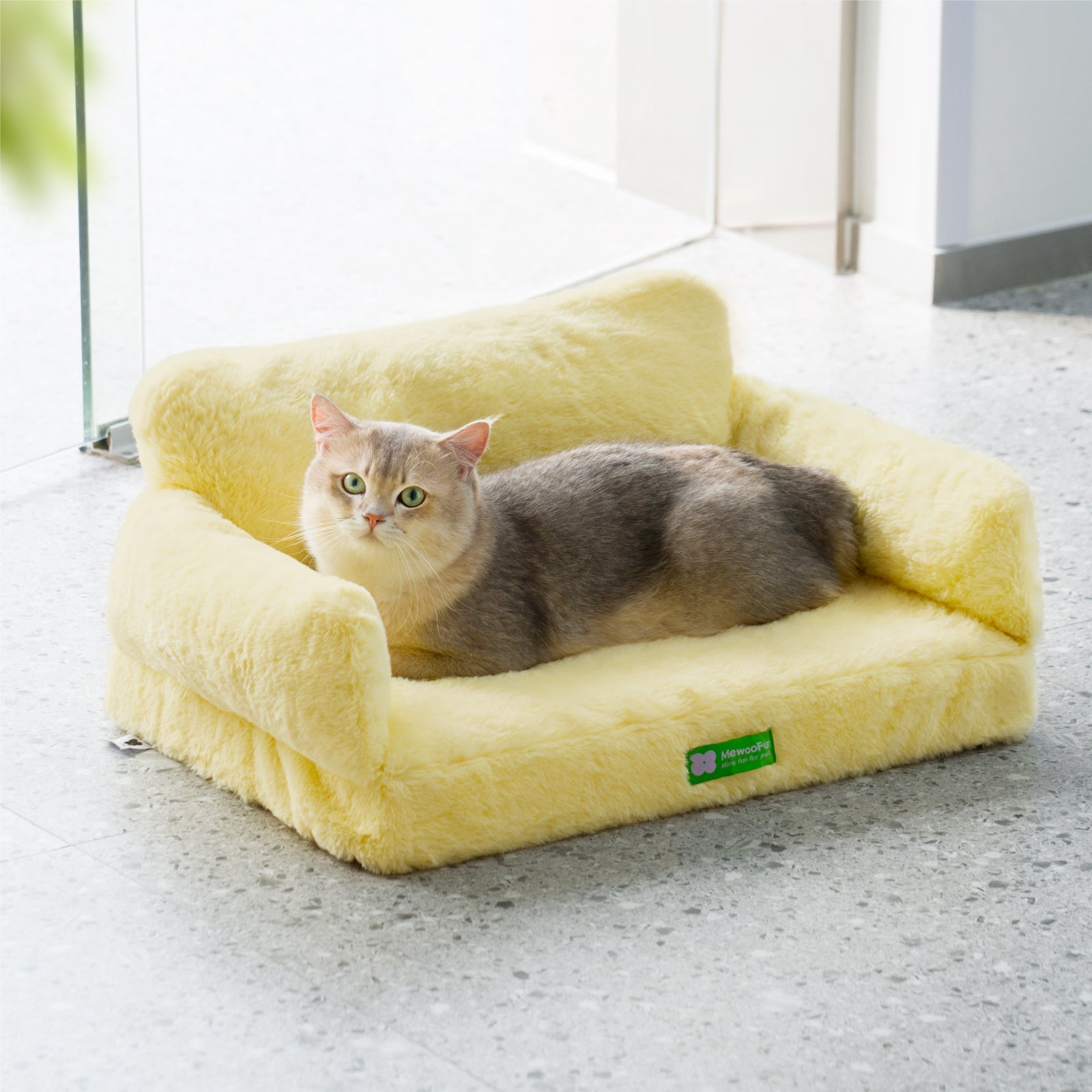 Zion Orthopedic Cat & Dog Sofa