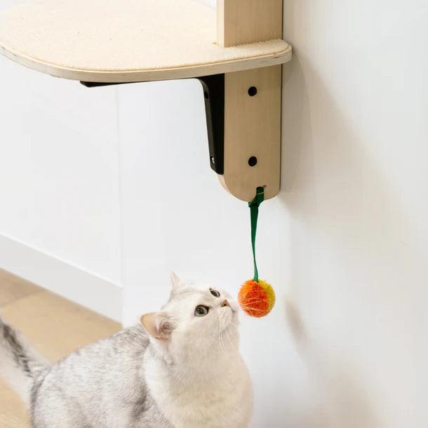 Meowofun Australia Doorway Climber: Space Saving Fun for Adventurous Cats! - Mewoofun Australia