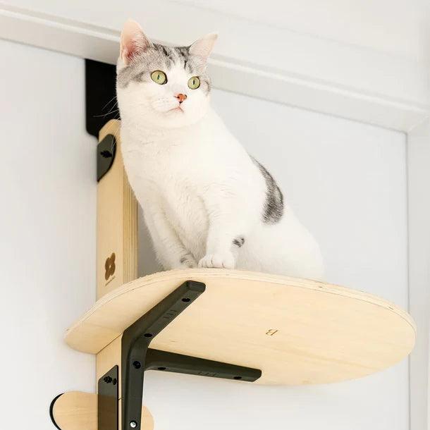 Meowofun Australia Doorway Climber: Space Saving Fun for Adventurous Cats! - Mewoofun Australia