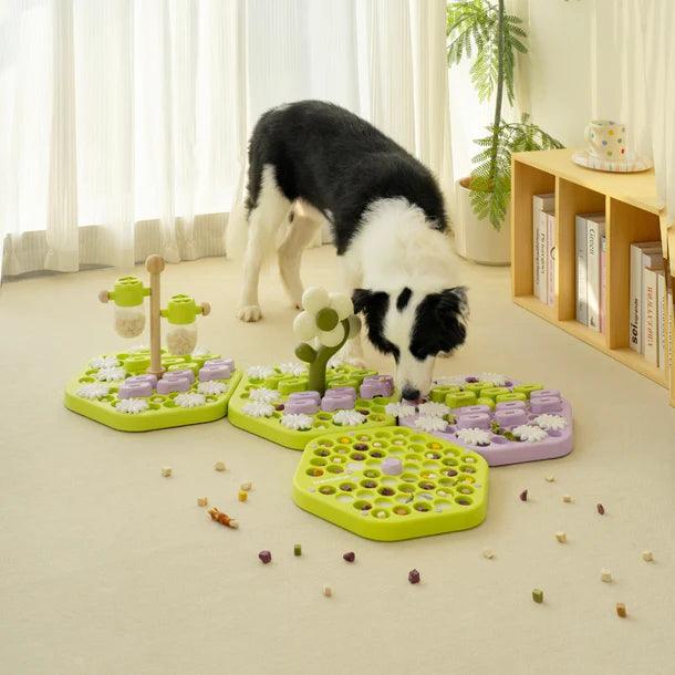 Mewoofun Interactive Dog Puzzle Feeder for Healthy Eating - Mewoofun Australia