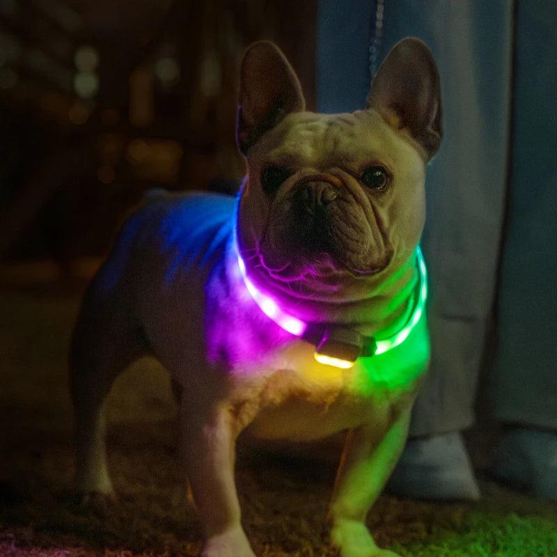 Mewoofun 6 Modes Rechargeable LED Dog Collar - Mewoofun Australia