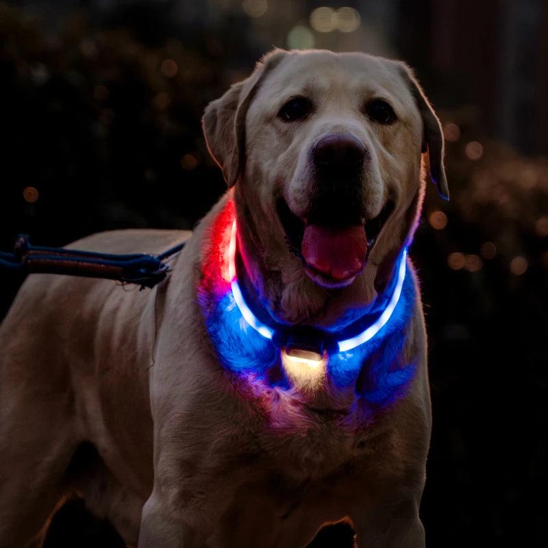 Mewoofun 6 Modes Rechargeable LED Dog Collar - Mewoofun Australia