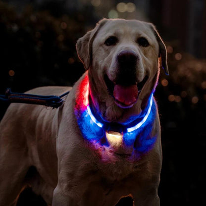 Mewoofun 6 Modes Rechargeable LED Dog Collar - Mewoofun Australia