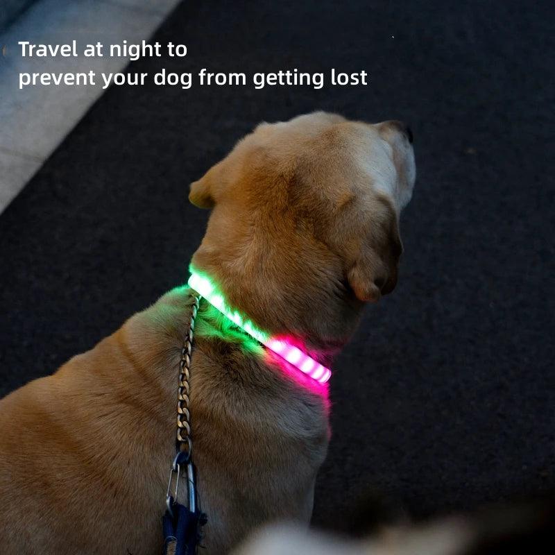 Mewoofun 6 Modes Rechargeable LED Dog Collar - Mewoofun Australia