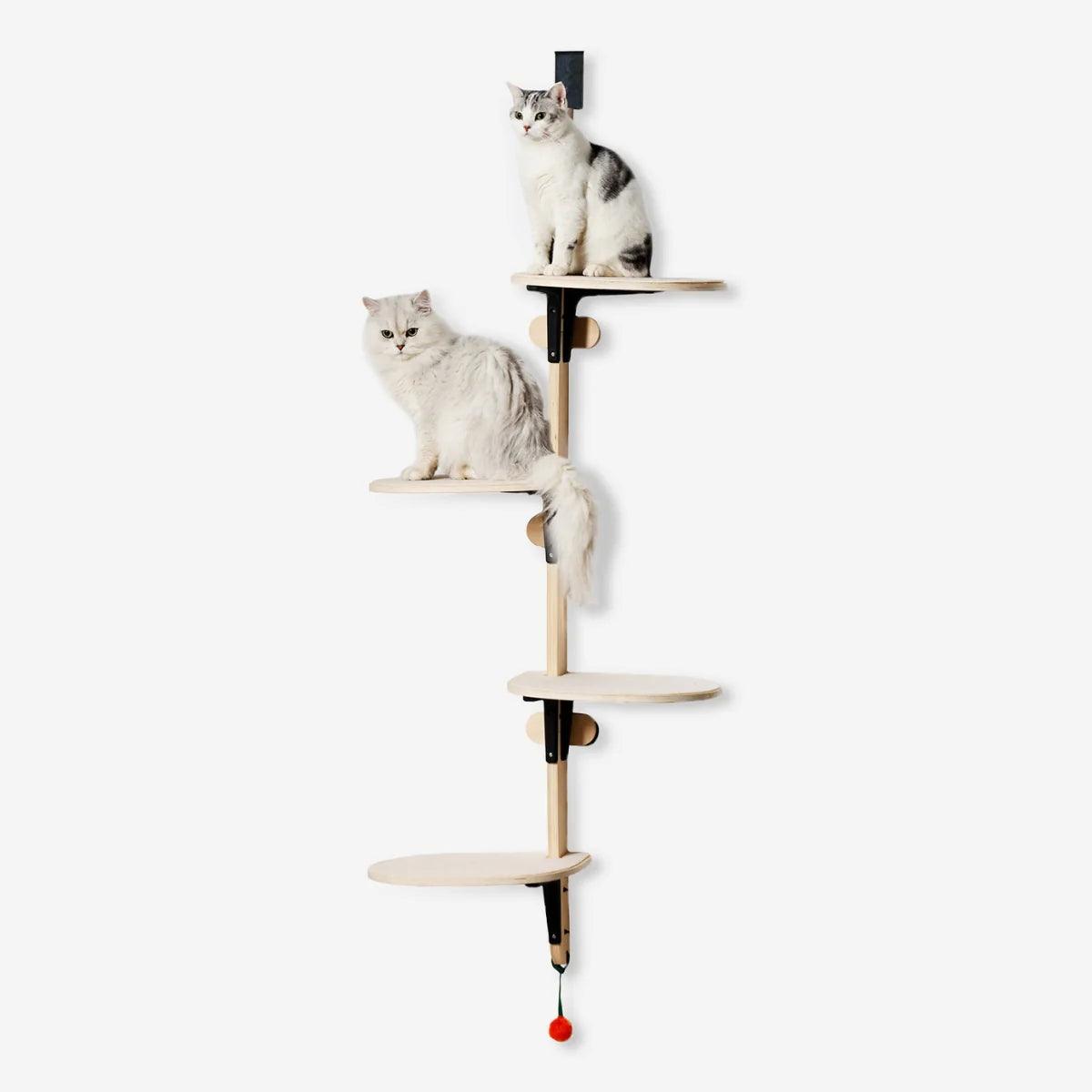 Meowofun Australia Doorway Climber: Space Saving Fun for Adventurous Cats! - Mewoofun Australia