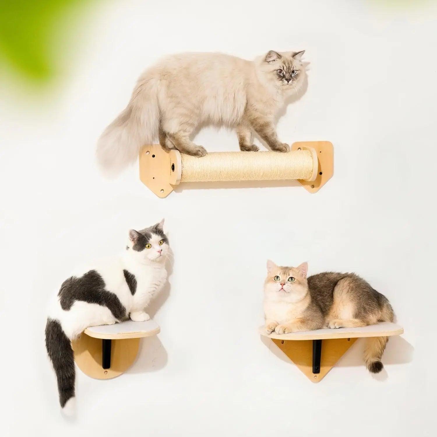 Mewoofun Wall-Mounted Cat Hammock with Scratching Mat – Wooden Cat Shelves for Sleeping and Climbing - Mewoofun Australia