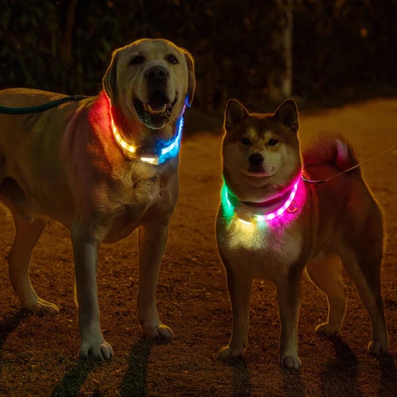 Mewoofun 6 Modes Rechargeable LED Dog Collar - Mewoofun Australia