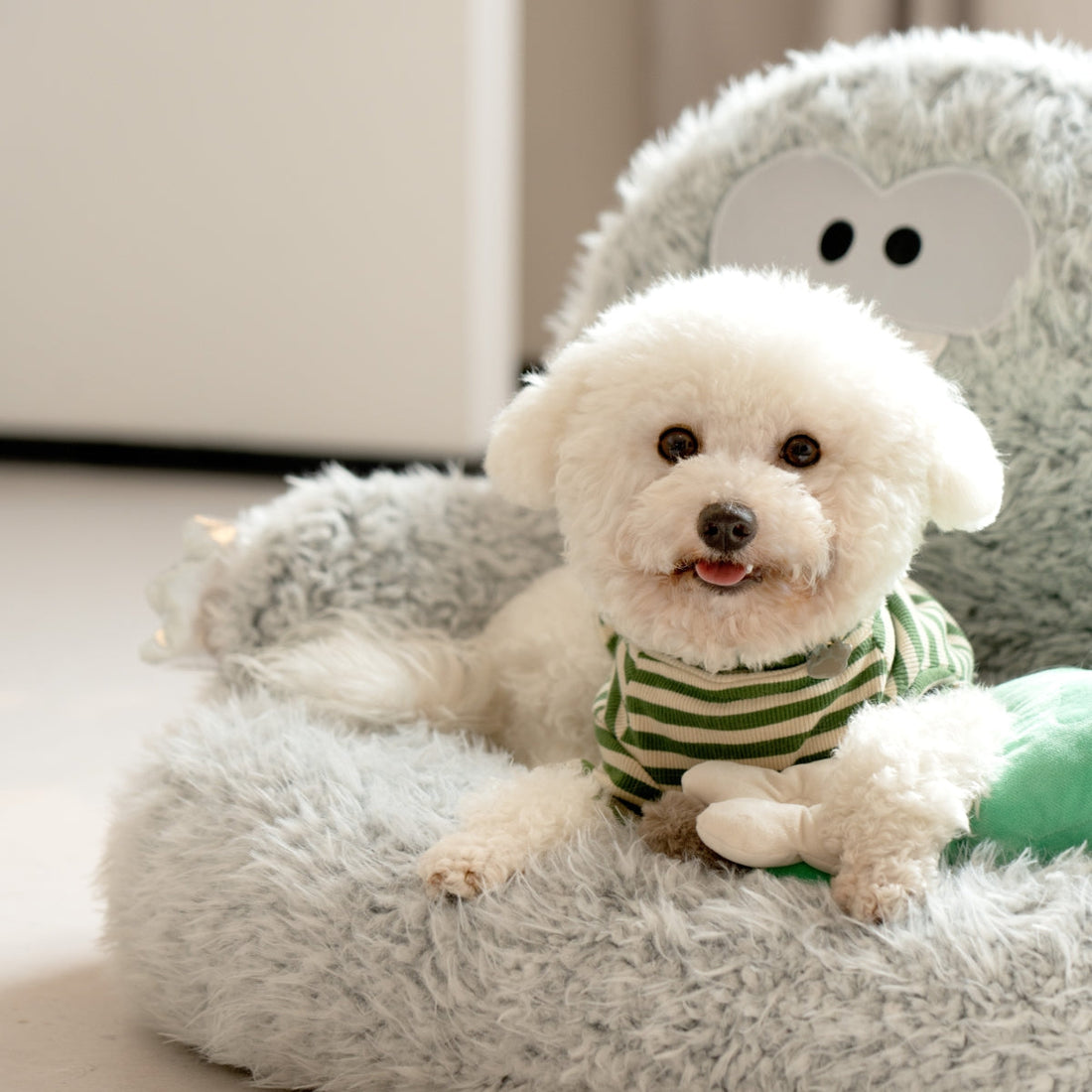 Squeaky Platypus Cat & Dog Sofa