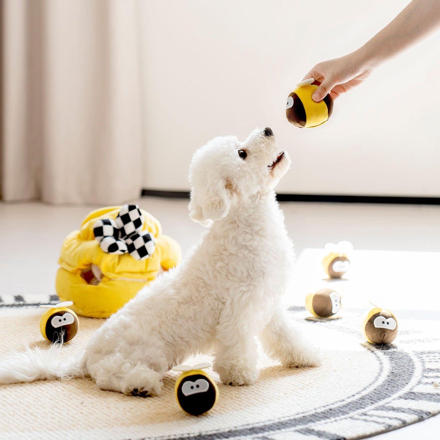 Dog Sniffle Interactive Toy - Mewoofun Australia