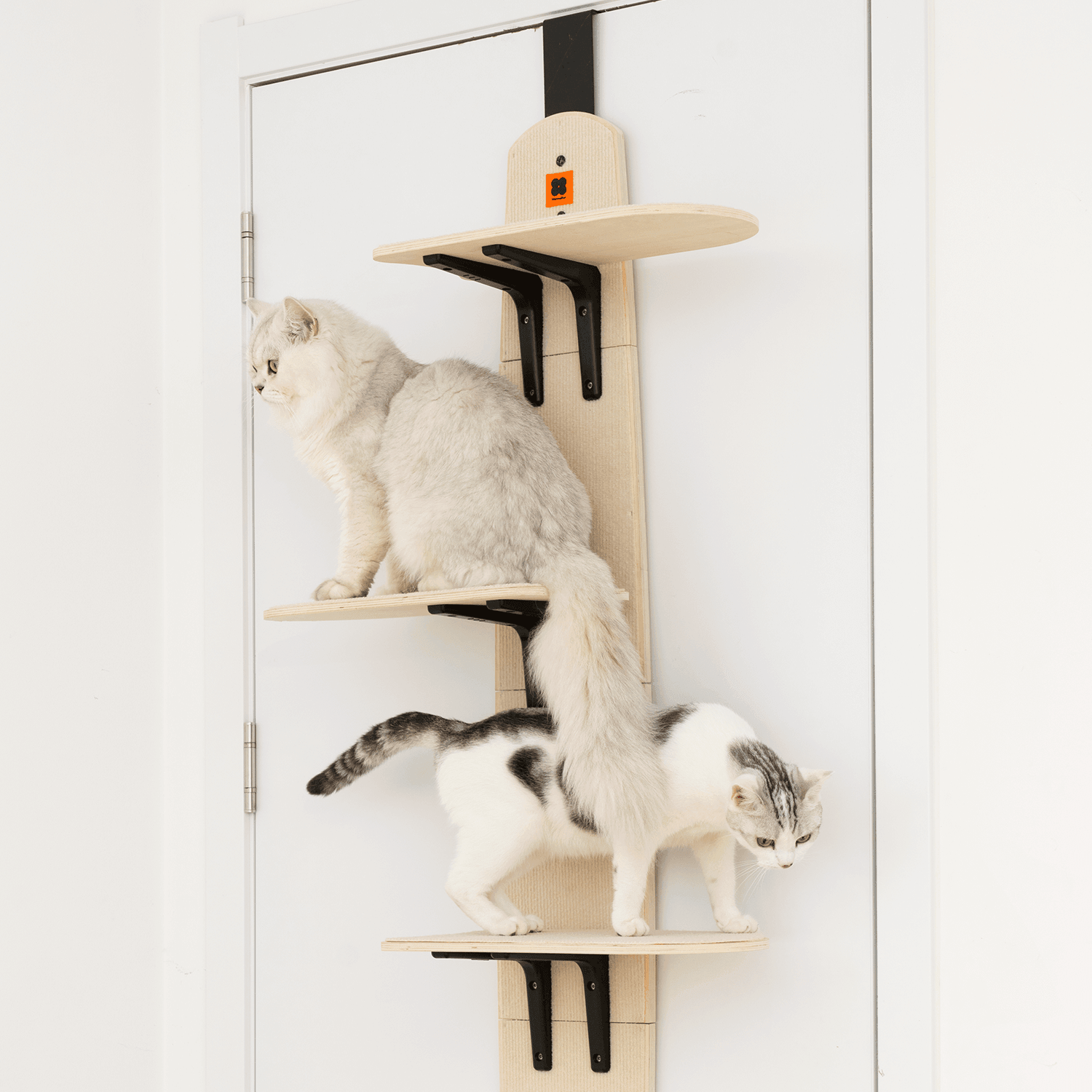 Purrfect Perch: Door-Hanging Kitty Climber Adventure - Mewoofun Australia