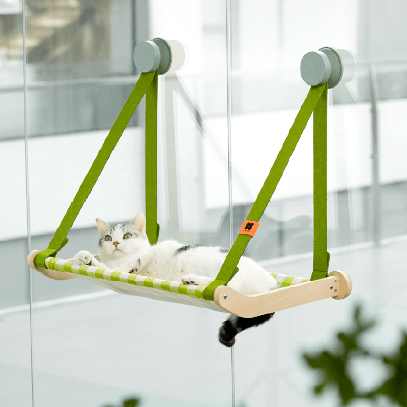 Cat Spring Rider MEWOOFUN Australia Spring Series: Wall-Mount Your Cat's Purr-adise with ...