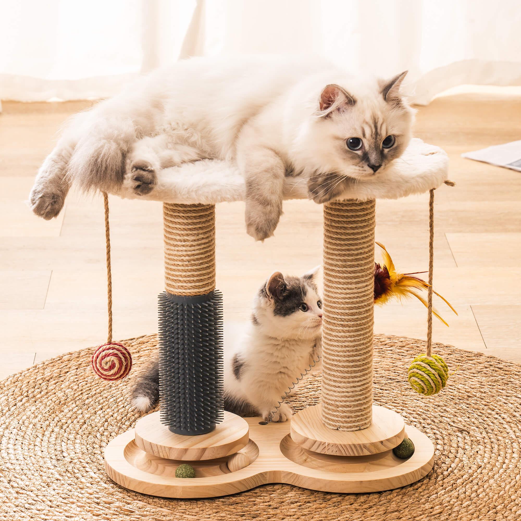 Mewoofun Cat Scratching Post for Indoor Cats – Mewoofun Australia