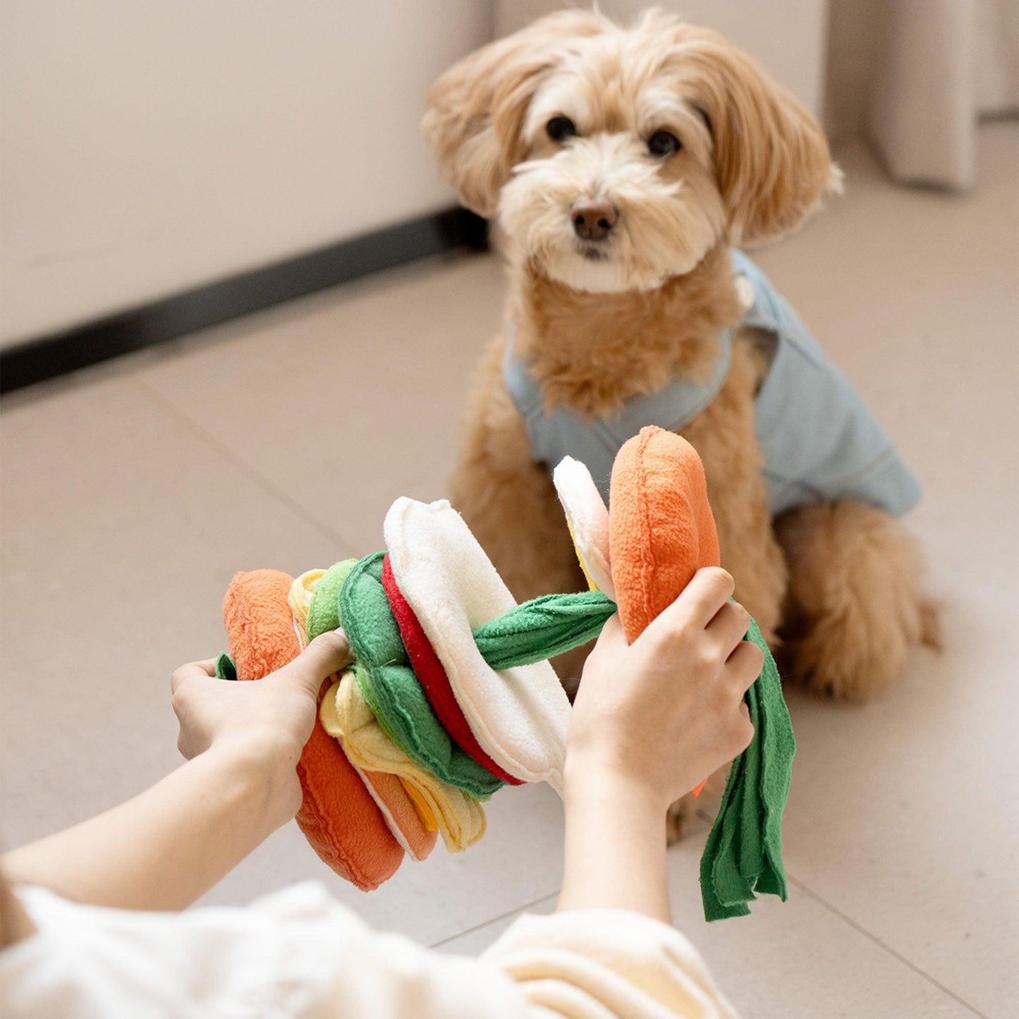 Hamburger Detachable Dog Sniffing Toy - Mewoofun Australia