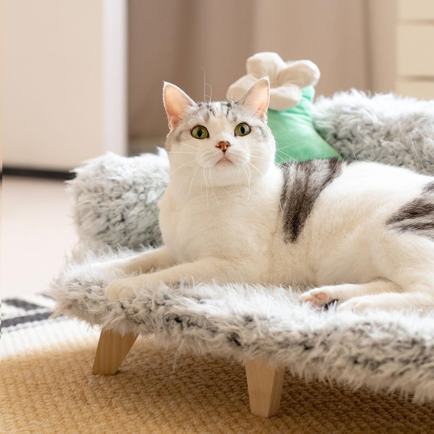 Minimalist Wooden Pet Sofa - Mewoofun Australia