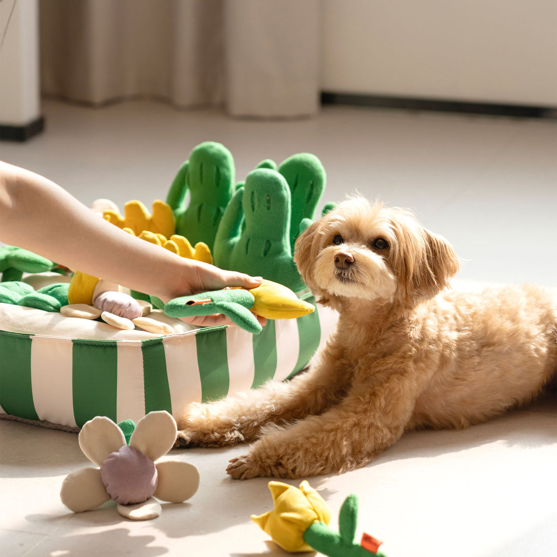 Garden Snuffle Toy