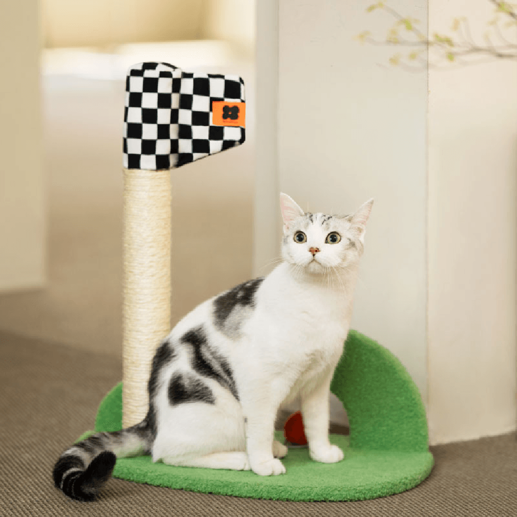 Mewoofun Golf Cat Scratching Post - Mewoofun Australia