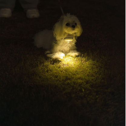 Dog Lights For Night Walking - Mewoofun Australia