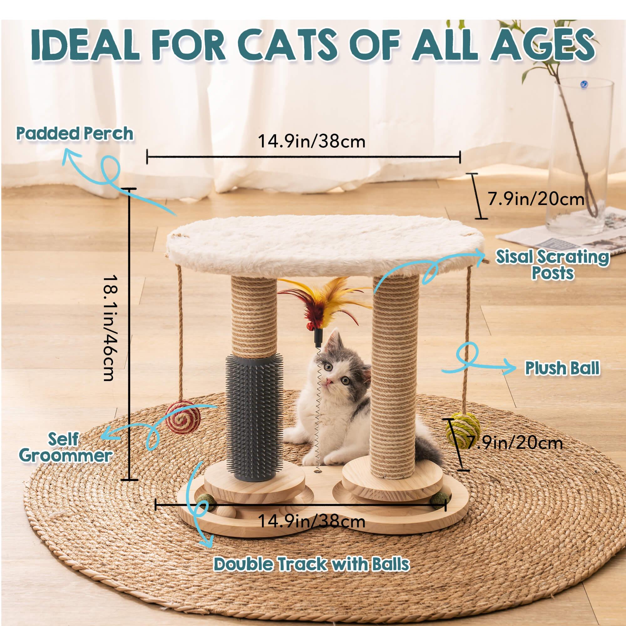 Cat scratching post australia hotsell