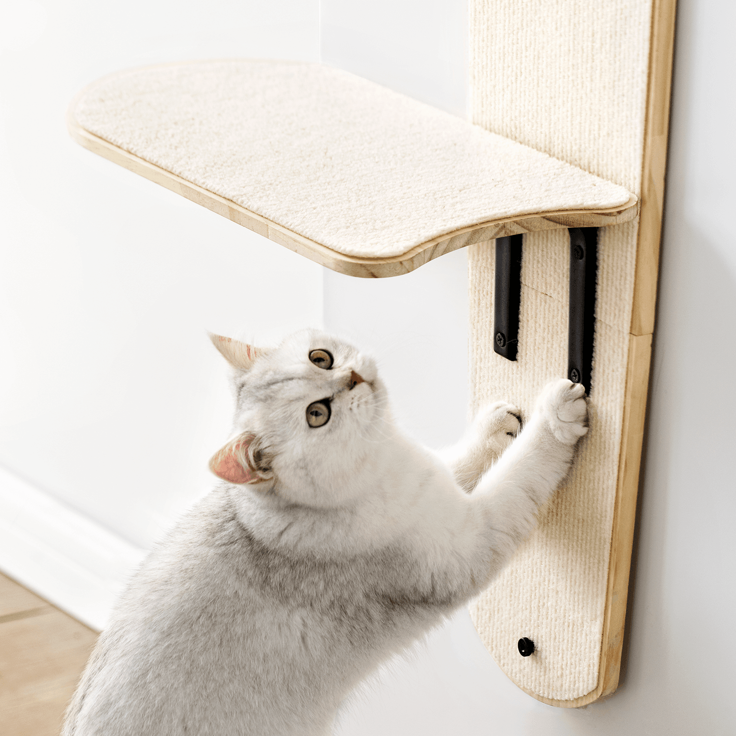 Purrfect Perch: Door-Hanging Kitty Climber Adventure - Mewoofun Australia