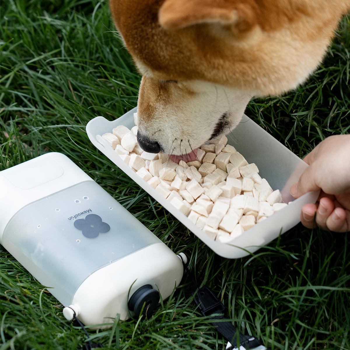 Dog Water Bottle: Stylish Hydration & Clean-Up On-the-Go! - Mewoofun Australia