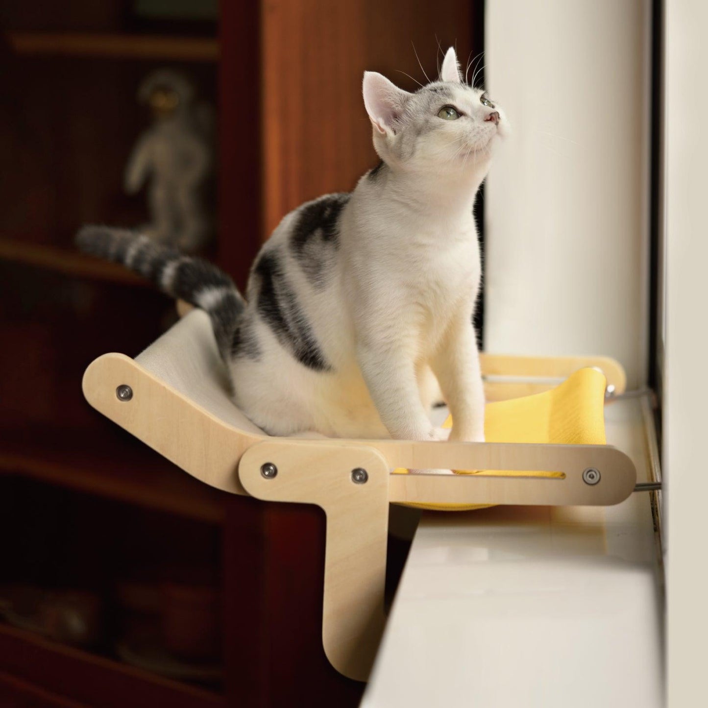 Sun-Soaked Cat Window Perch - The Ultimate Cozy Hammock for Indoor Relaxation - Mewoofun Australia