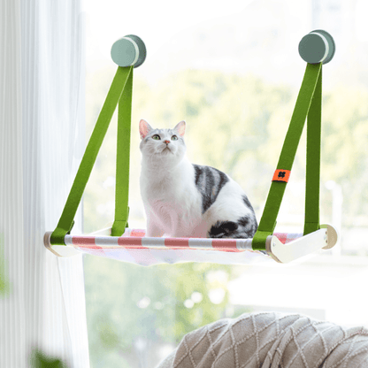 Spring Series Glass Suction Cup Cat Climbing Frame - Mewoofun Australia